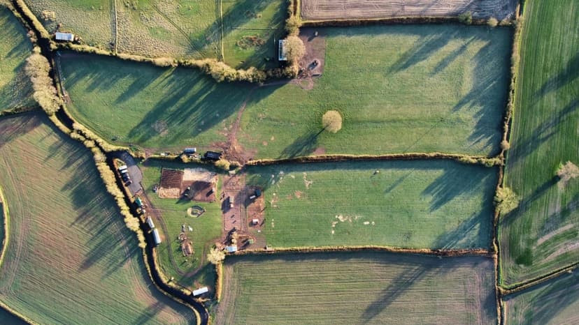 One Tree Farm Drone Image