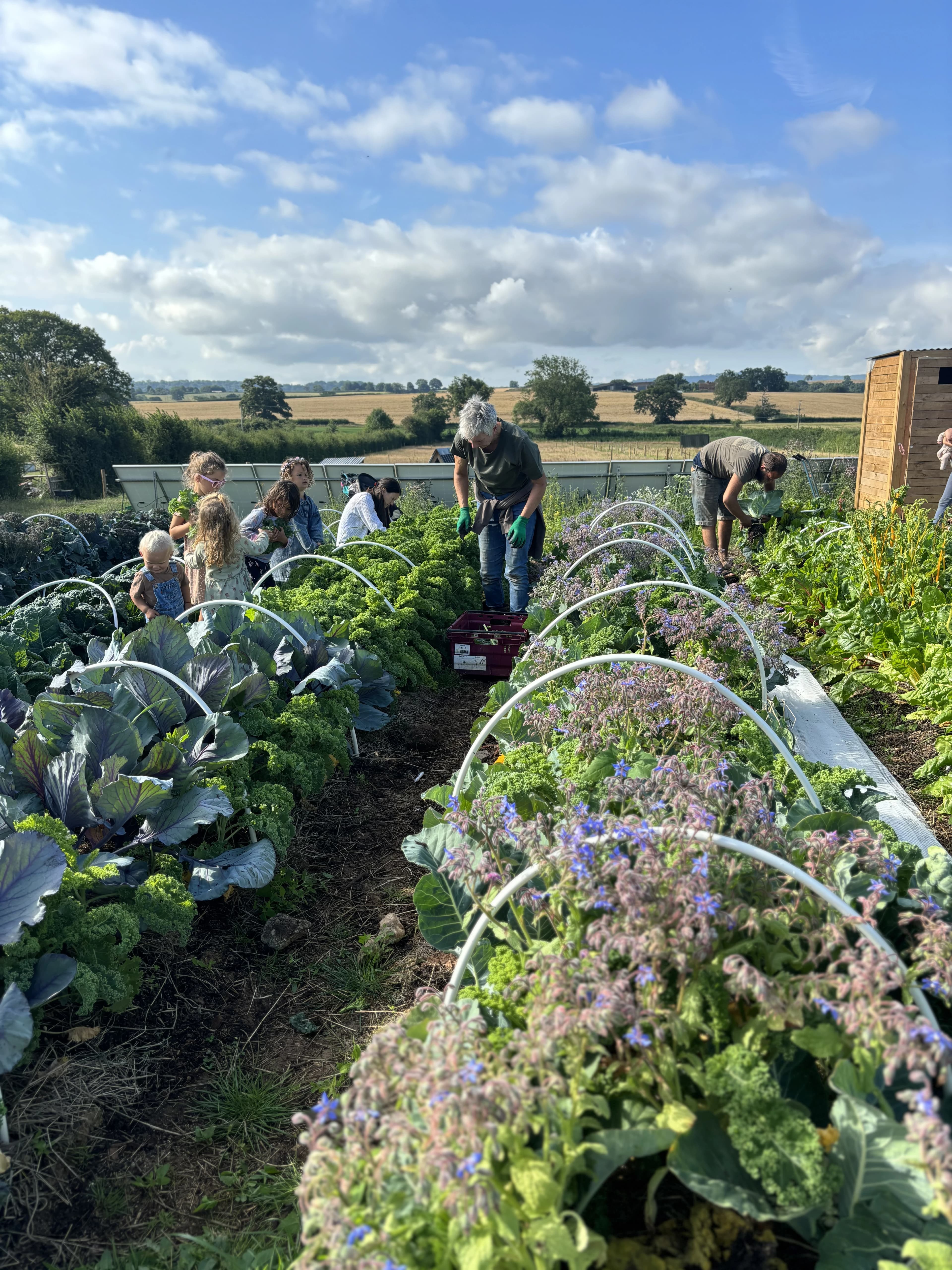 Farm garden