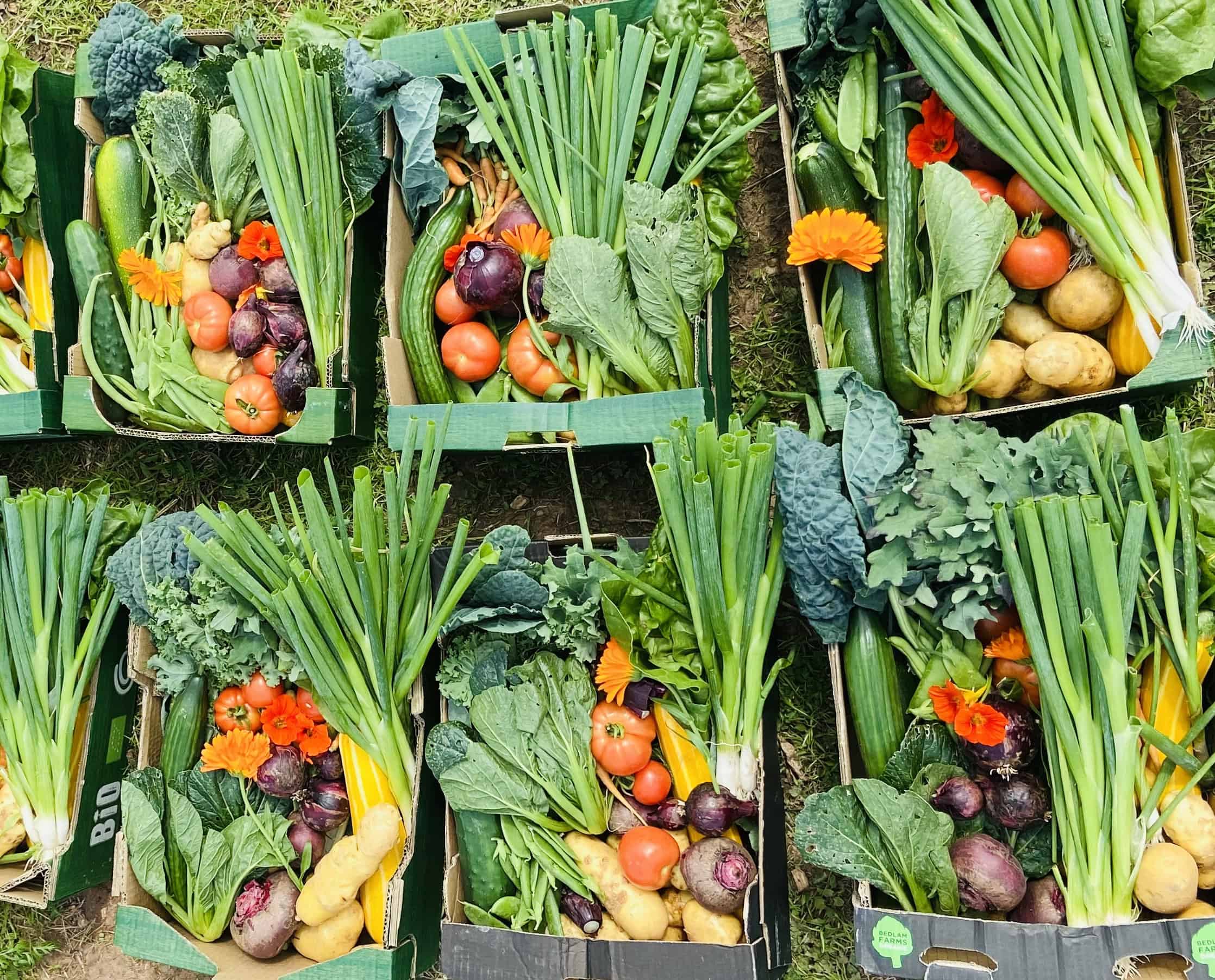 Beyond Organic Veg