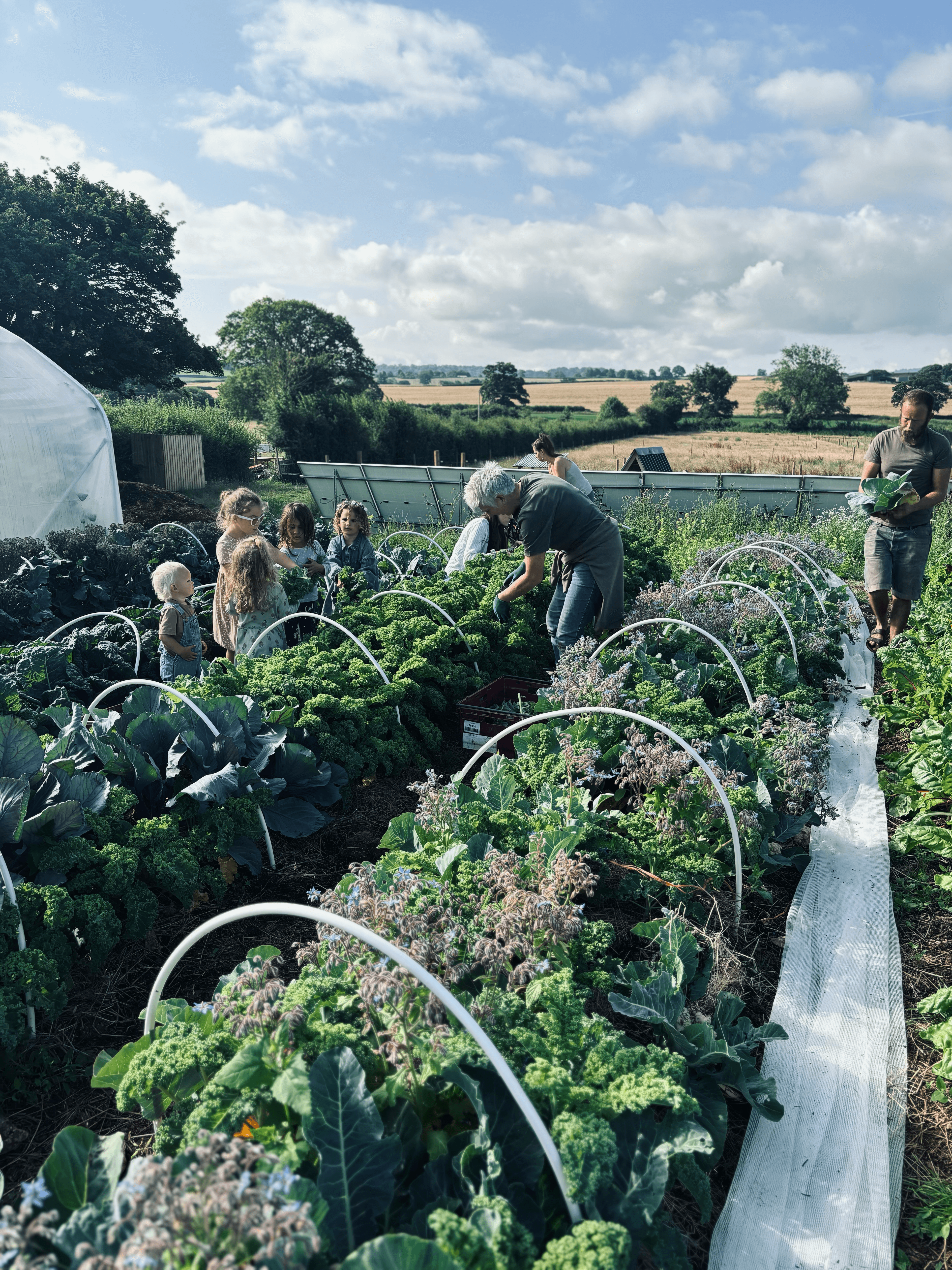 Kids and parents working in the garden.